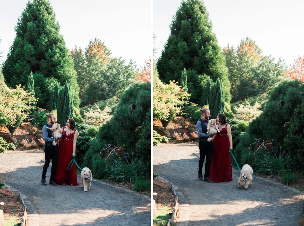 Photoshoot, Oregon Gardens Photos Session, Couples Portraits, Family Photos, Couple Goals, Holiday Portraits, Silverton Oregon, Photoshoot Inspiration, Styled Session, Dressed up, Pets Photos