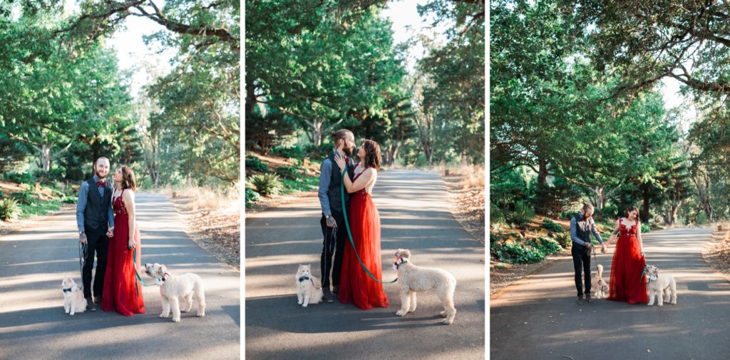 Photoshoot, Oregon Gardens Photos Session, Couples Portraits, Family Photos, Couple Goals, Holiday Portraits, Silverton Oregon, Photoshoot Inspiration, Styled Session, Dressed up, Pets Photos